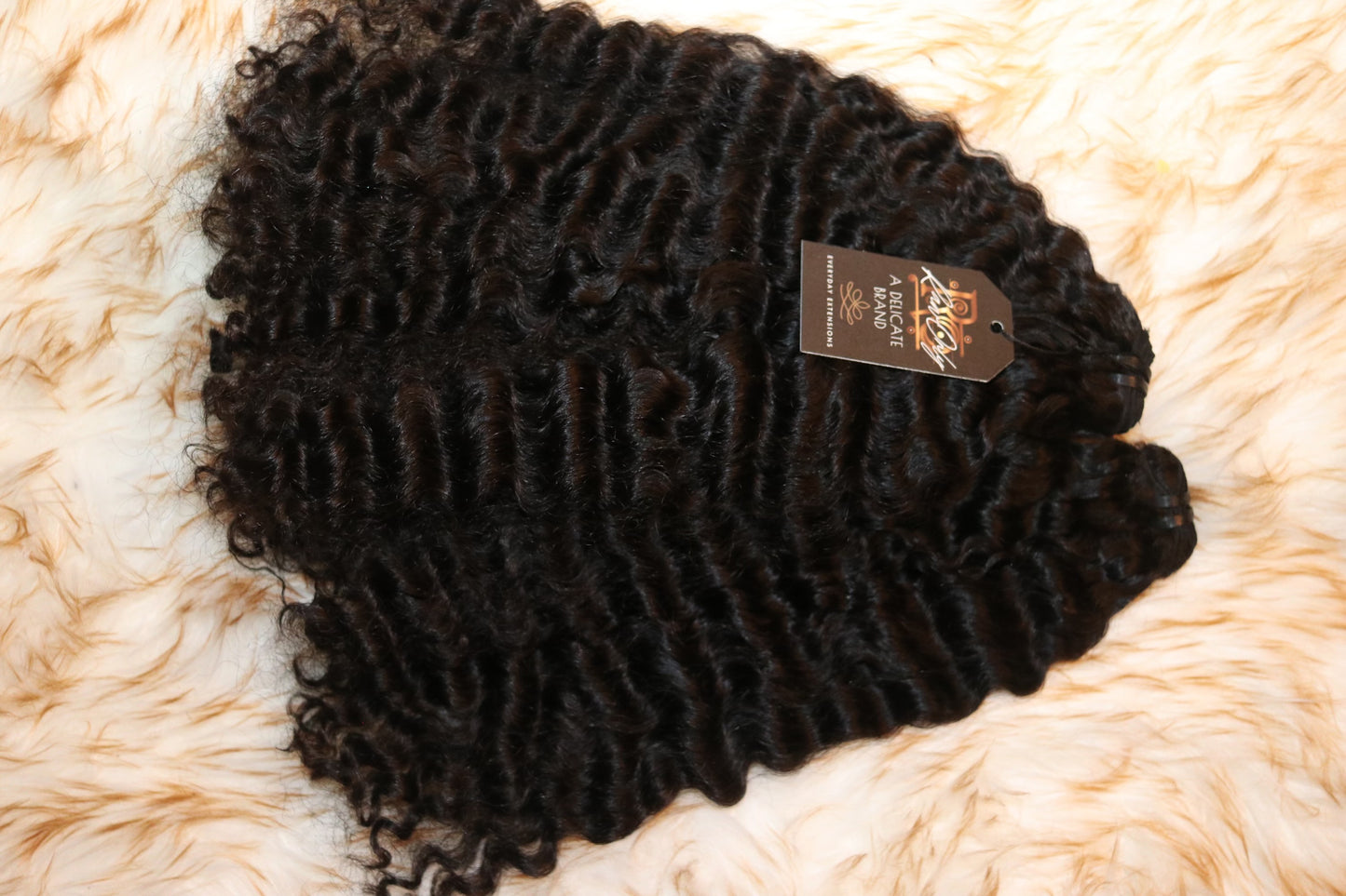 RAW Burmese Curl (Bundle Deals)