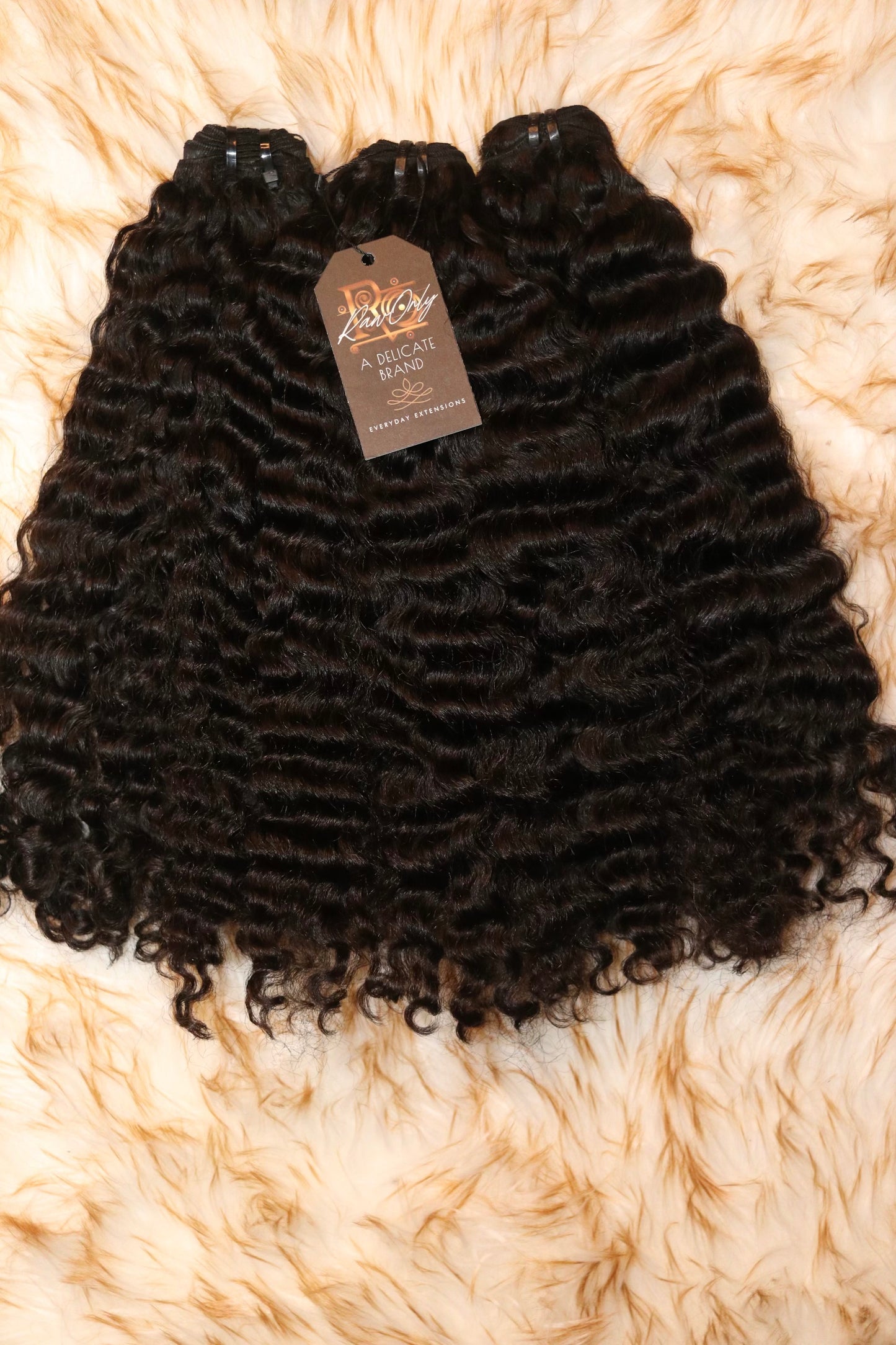 R|O Burmese Curl