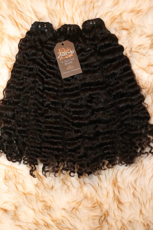 R|O Burmese Curl